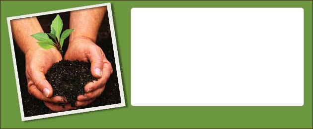 Plant a tree in clifton park ny