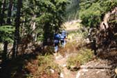 People Hiking