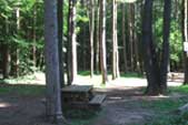 Kinns Road Park