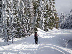 Clifton Park Cross Country Skiing