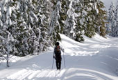 Cross Country Skiing near Clifton Park NY