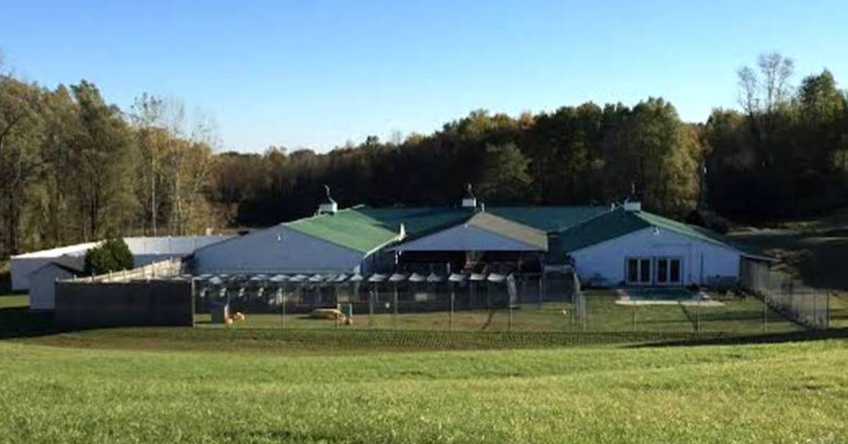 building with dog kennels outdoors