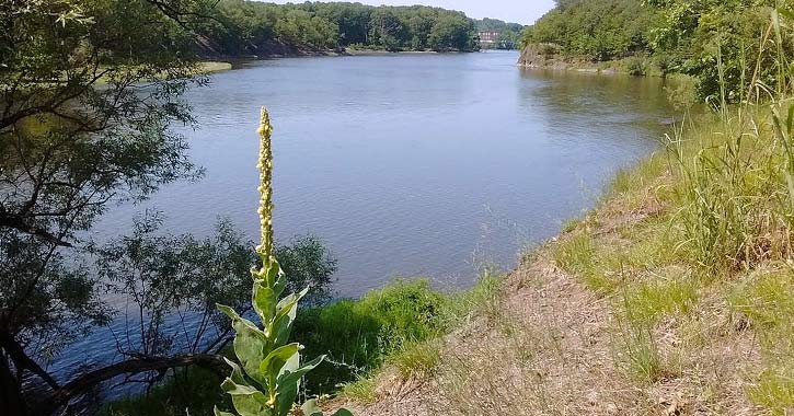 body of water at peebles island state park