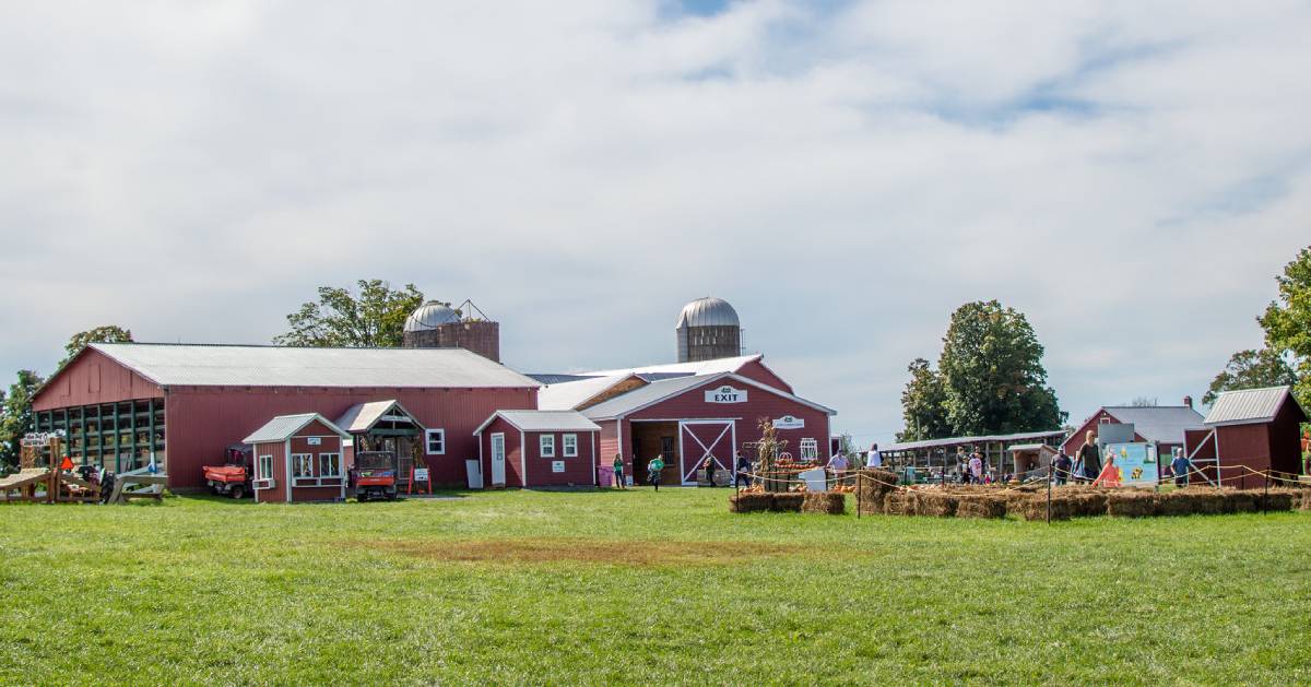 Visit Clifton Park Area Farms For Hayrides Corn Mazes Fall